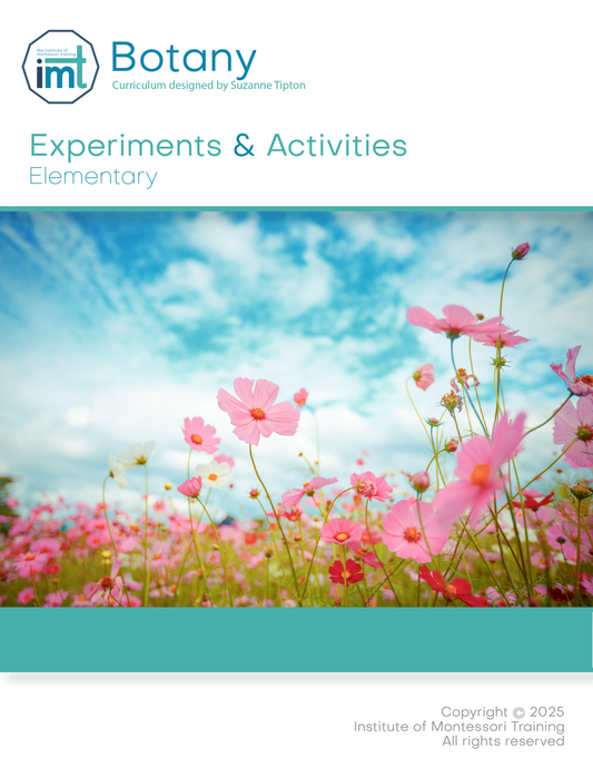 Elementary Montessori Botany Charts + Lessons