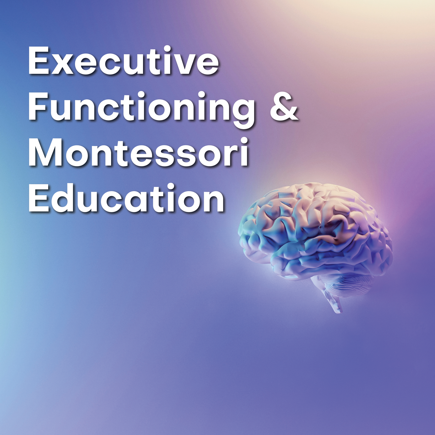 Executive Functioning & Montessori Education