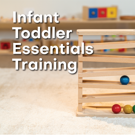 Infant Toddler Essentials Course