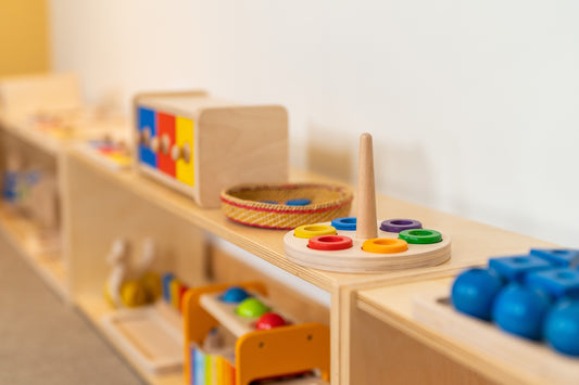 Infant-Toddler Montessori Manuals