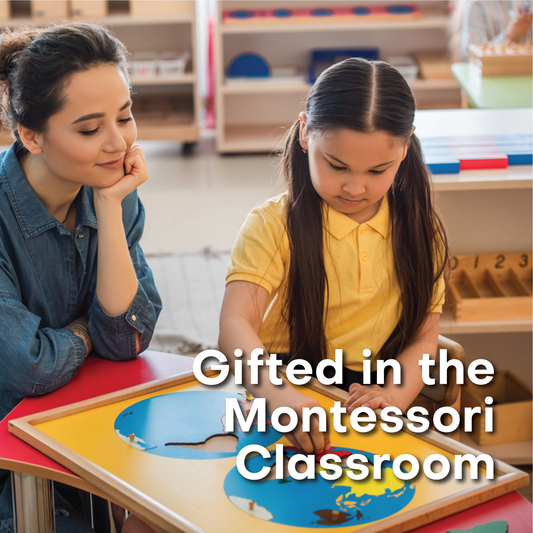 Gifted in the  Montessori Elementary Classroom