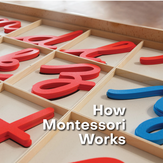 How Montessori Works