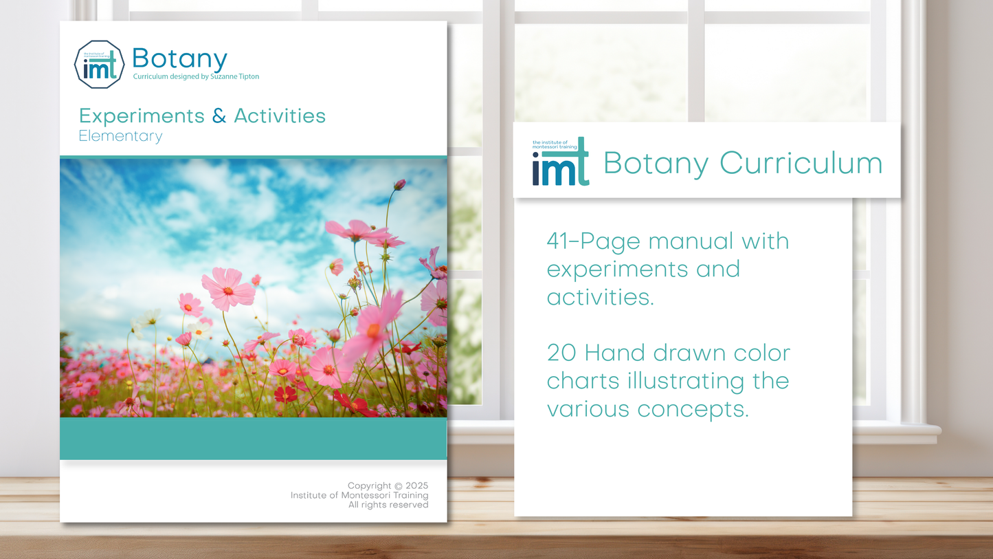 Elementary Montessori Botany Charts + Lessons