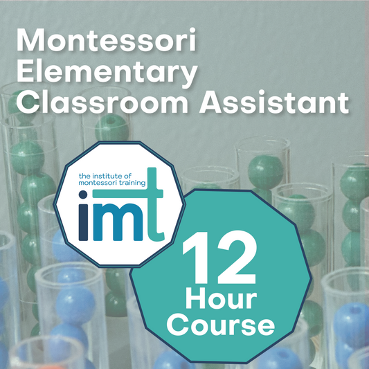 Elementary Classroom Assistant - 12 Hour Course