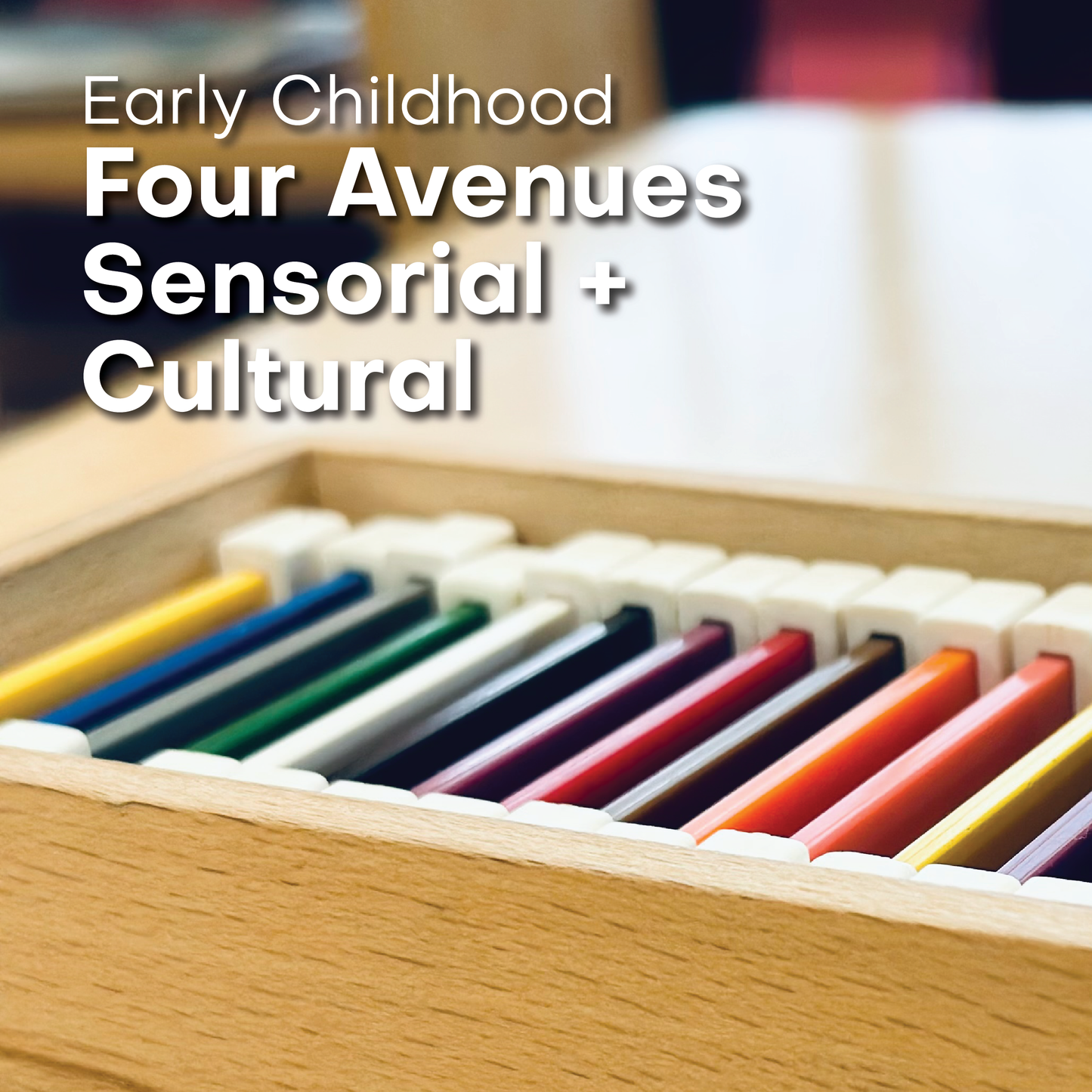 Early Childhood 4 Avenues: Sensorial and Cultural